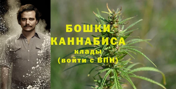 дживик Кулебаки