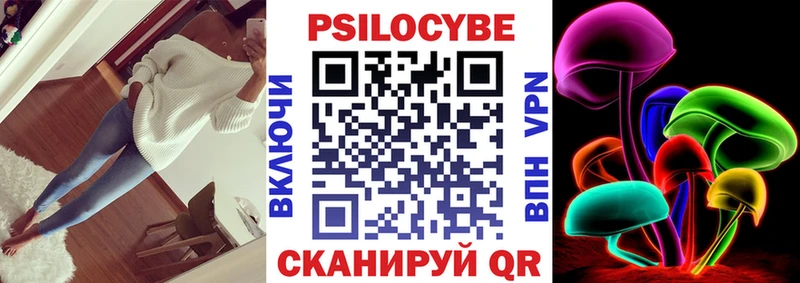 Купить  Чадан  Галлюциногенные грибы Psilocybine cubensis 
